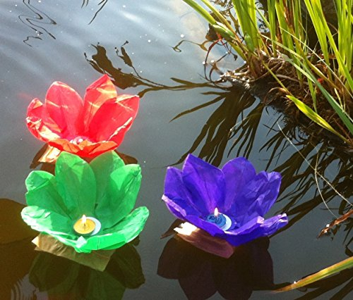 10 Wasserlaternen - LOTUSBLÜTE - bunt