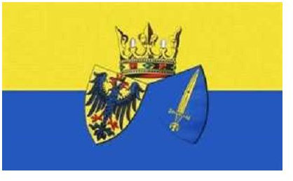 TS24Direkt Essen - Stadtwappen Fahne (F34)