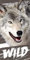 Aptex Duschtuch Badetuch Strandtuch mit Wolf 70 x 140cm