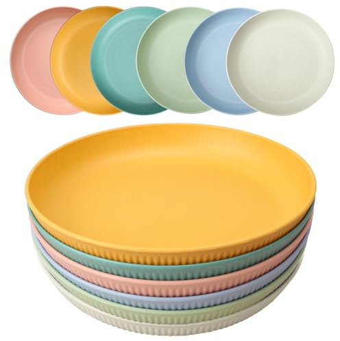 HQCM 6 Stück Wiederverwendbar Plastikteller, 23cm Groß Campingteller Unzerbrechlich Picknick Geschirr Plate Set, Mehrweg Mikrowelle Spülmaschinenfest Tief Bunte Grillteller für Outdoor Home