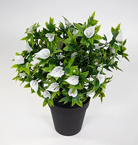 Callabusch/Callapflanze 32cm im Topf JA Kunstblumen künstliche Calla Blumen Pflanzen Blumen (Weiß)