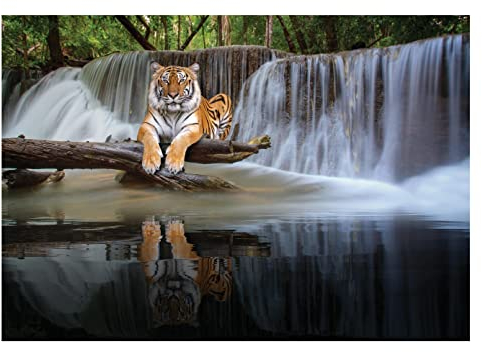 Fototapete Wasserfall 3D Effekt Landschaft Tiger Natur Wald Wasser - inkl. Kleister - für Wohnzimmer Schlafzimmer Flur Vlies Tapete Vliestapete Wandtapete Motivtapeten Montagefertig (312x219 cm)