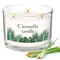 Citronella Kerzen Outdoor Groß 100Std Draußen Camping Citronella Kerzen im Glas Natürliche Sojawachs Zitronella Kerze Draußen Lemongrass Natürliches Sojawachs für Balkon, Picknick, Terrasse