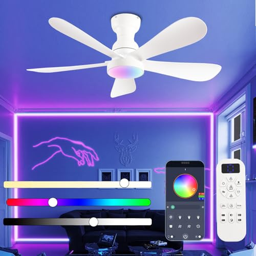 NKPU Ceiling Fan 42 Inch with Lights and Remote/App Ceiling Fan with Dimmable RGB Light, Modern Ceiling Fan, Low Noise White