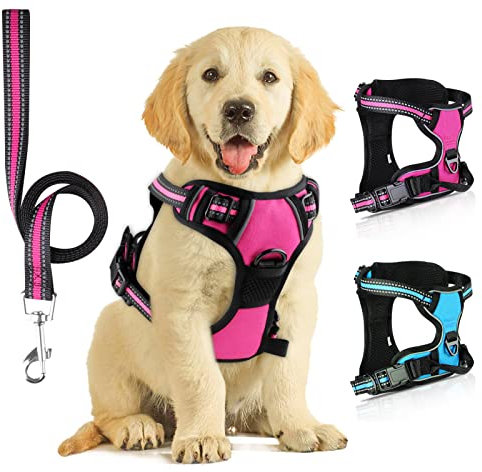 SIBOTER Hundegeschirr mit Hundeleine, Reflektierendes Hundegeschirr Grosse Hunde, mit Einfache Kontrolle Griff und Rückseite perfekt für Spaziergänge im Freien (L, Rosenrot)