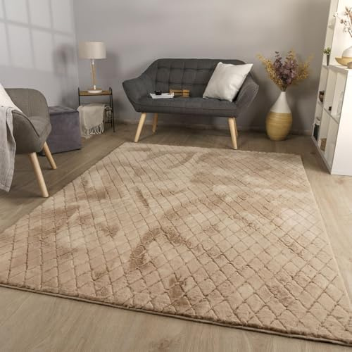 TT Home Wohnzimmer Teppich Esszimmer Langflor Skandi Optik Geometrisch 3D Unifarben, Farbe:Hellgrau Beige, Größe:120x160 cm