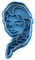 Cuticuter Frozen Elsa Cortador de Galletas, Plástico, Azul
