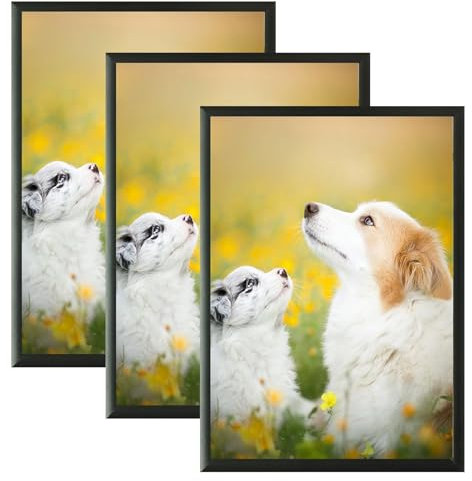 VIIBASE Lot de 3 cadres photo certifiés A5 en aluminium noir pour poster avec plexiglas pour montage mural 15 x 21 cm