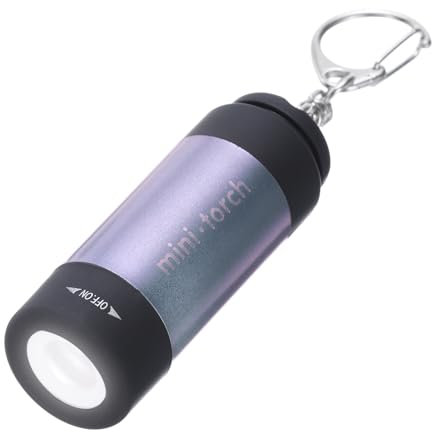 PATIKIL 2.56Inch Mini Keychain Flashlight, Pocket LED Flashlight Portable Torch USB Rechargeable for Outdoor Camping Party, Purple
