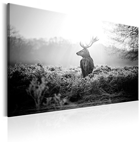 murando - Wandbilder XXL Hirsch 120x80 cm 1 tlg - Wand Deko Vlies Leinwand Bilder Groß Wanddeko Wohnzimmer Schlafzimmer Kunstdrucke - Natur Tier Landschaft g-B-0046-b-c