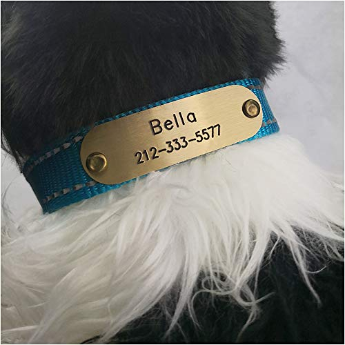 NEMOCI Collar de identificación con remaches para mascotas, placa de identificación personalizada para perros y gatos, etiqueta de nombre grabada personalizada, de acero inoxidable o latón (60 mm x 18