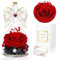 GUHAOOL Regali di Angelo per le Donne, Rosa Stabilizzata Vera in Angel Cupola, Rosa Stabilizzata Vera in Angel,Angelo Fiore Eterno Regalo San Valentino,Festa della Mamma Regalo,Regali Compleanno Donna
