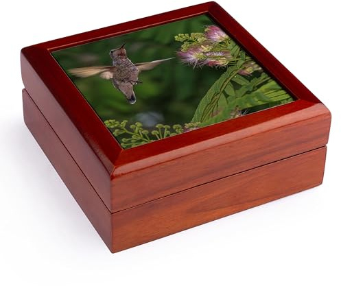 3dRose Hummingbird feeding off Silk Tree. California, USA - US05 TNO0076 - Tom Norring, Jewelry Box jb-142909-1