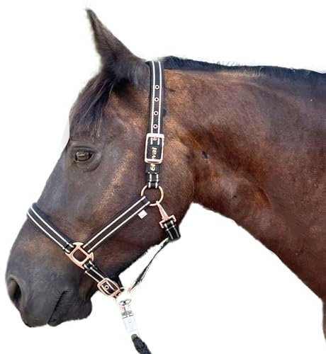 Halfter für Pferde mit Glitzer in Rosegold, Halfter Pferd in schwarz und pink, 2-Fach verstellbar (Schwarz Rosegold, Pony)