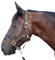 Halfter für Pferde mit Glitzer in Rosegold, Halfter Pferd in schwarz und pink, 2-Fach verstellbar (Schwarz Rosegold, Pony)