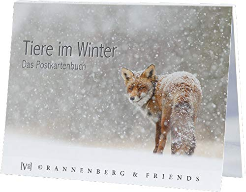 Rannenberg & Friends Postkartenbuch TIERE IM WINTER - Buch mit 14 winterlichen Tierillustrationen auf weißem Karton, ideal für Weihnachten