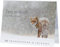 Rannenberg & Friends Postkartenbuch TIERE IM WINTER - Buch mit 14 winterlichen Tierillustrationen auf weißem Karton, ideal für Weihnachten