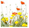 Fensterfolie Sichtschutz Fensterbild Wild Flowers Aufkleber Frühling 14x14cm