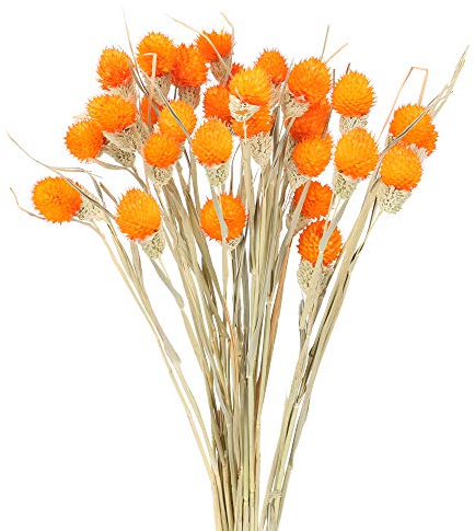 HUAESIN 30PCS Bouquet Fiori Secchi Decorativi Fiori Secchi Naturali Mazzo Fiori Secchi Composizioni Arancia Fiori Essiccati per Vasi Rami Fiori Secchi Interno per Decorazioni Casa Matrimonio DIY