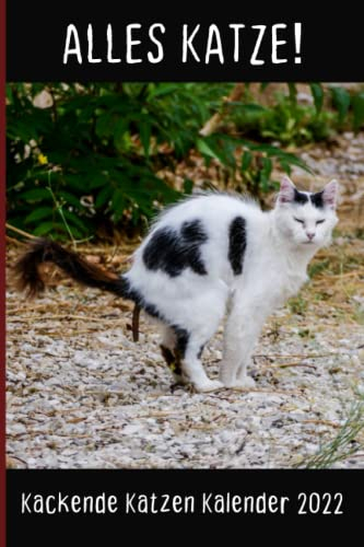 Kackende Katzen Kalender 2022: Das lustige Geschenk für Männer, Frauen, Freunde und Katzenliebhaber zum Geburtstag oder Weihnachten