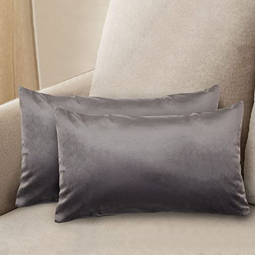 Komfortec 2er Set Samt Kissenbezüge 30x50 cm, Zierkissenhülle, Zierkissenbezüge, Kopfkissenbezug, Schlafzimmer Kissenbezug, Dekorativer Couchkissenbezug & Sofakissenbezug mit Reißverschluss, Anthrazit