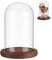 NBEADS Flor Eterna Pantalla de Vidrio Cúpula Cloche, Exhibición de Vidrio con Campana de Pedestal de Madera Marrón de Coco, Decoraciones Florales para el Día de la Madre, Manualidades, 11.3x16.3 cm