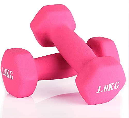 Anjing Neoprene Dumbbell Weights 1kg Gym Dumbbells (Pink) 