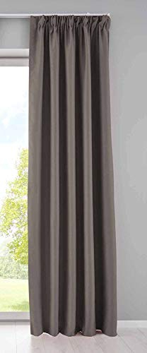 Gardinenbox Vorhang Blickdicht »Newyork« verdeckte Schlaufen Taupe HxB 225x140 cm 1er-Pack Thermo-Gardine Verdunkelungsvorhang Blackout schalldämmend ÖKOTEX Kräuselband Raffhalter, 202020610