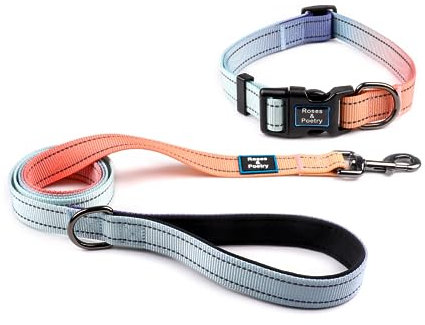 Roses&Poetry Reflective Dog Collar and Lead with Gradient Azure,Adjustable Durable Puppy Collars Leash for Extra Small Dogs (Azure-XS)