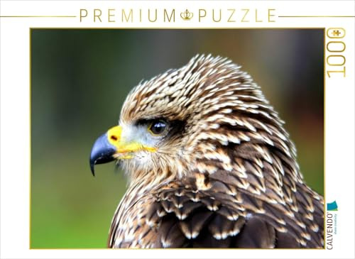 CALVENDO Puzzle Greifvögel - Junger Rotmilan | 1000 Teile Lege-Größe 64 x 48 cm Foto-Puzzle für glückliche Stunden