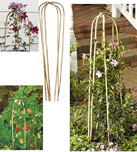Garden U-Hoop Bamboo Trellis Stakes Ideal For Flowers vegetables Plants Support Tomato Plants staking Gardener Essentials Decorative and Functional Uses- Pack of 3