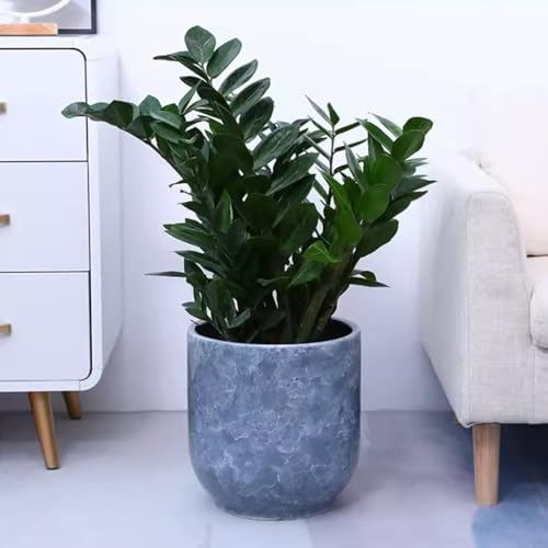 NUBAGG Pot De Fleurs Rond Rétro en Céramique avec Trou De Drainage Et Soucoupe, Grands Pots De Fleurs for Plantes D'intérieur Et D'extérieur, Jardinière Décorative De Style Nordique for Jardin