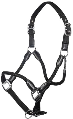 HKM Carlotta Halfter, Schwarz, Vollblut
