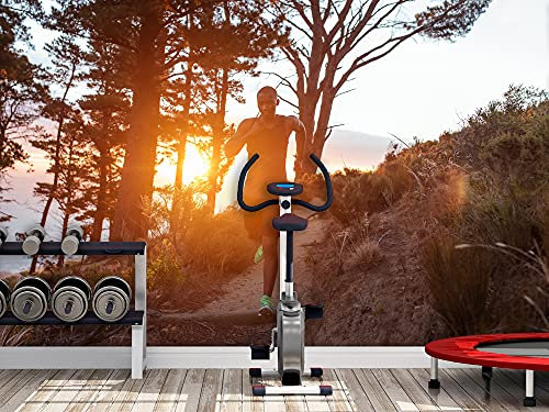 Fototapete aus Vinyl und Fototapete, Landhausstil / Wald / Wald, Wandbild, dekorativ, aus Vinyl, verschiedene Größen 500x300cm