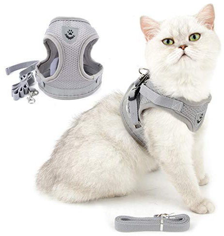 Ranphy Katzengeschirr Mit Leine Ausbruchsicher Verstellbar Reflektierend Gepolstert Brustgeschirr Welpen Welpengeschirr Step In Weichem Netzstoff Geschirr für Kleine Katzen Erwachsene Katzen Grau M