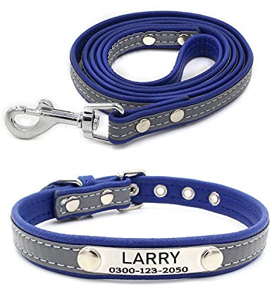 Yonsbox Custom Personalized Reflective Cat Dog Collar and Leash Set with Engraved Name Plate Blue Puppy Kitty Dog Cat Collar and 4 FT Leash Set for Small Medium Large Girl Boy Dogs Cats