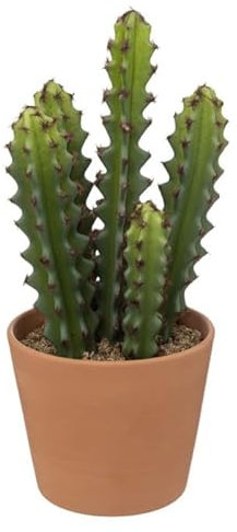 Paris Prix Atmosphera Créateur d'intérieur - Plante Artificielle Cactus Alicante 30cm Vert