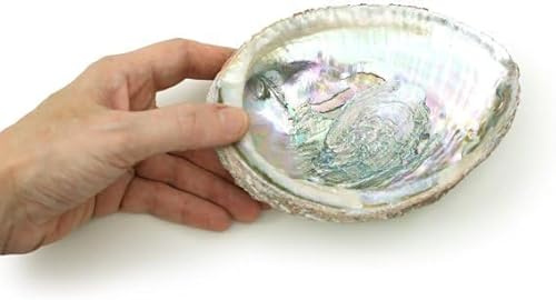 1 x bunte große Abalone-Schale, 10,2 - 11,4 cm, natürliche Verschmierschale zum Verbrennen von Salbei und Räucherstäbchen, Muscheln, zum Dekorieren und Präsentieren von Räucherstäbchenhaltern