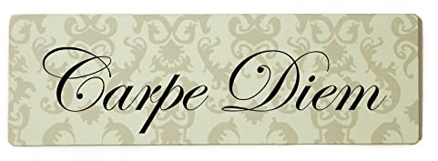 Deko Shabby Chic Schild Carpe Diem in beige Vintage Holz Türschild zum kleben