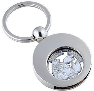 Jadani Hochwertiger Schlüsselanhänger mit EK-Chip Sternzeichen Skorpion