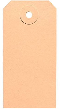 BT-Label 1000 Anhängeschilder 45 x 90 mm mit Loch (verstärkte Kartonöse), als Warenanhänger, Kartonanhänger, Anhängezettel, Papier-Anhänger, Anhängeetiketten