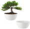 ECOMACETAS FLOWERPOT STORE Maceta Bonsai, Macetas para Bonsais, Cactus, Suculentas, Crasas Redonda Baja de Plástico Blaco (2, 20 cm)