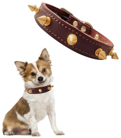 Qianruida Nietenhalsbänder Für Hunde Und Katzen, Hundehalsband Bissfest Mit Spiked Nieten Hundehalsband, Nietenbesetzt, Braun, Verstellbar Individualität Boxer Bulldogge Halsband Für Kleine - XS