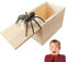 HSLPSM Spinne In Box, Prank, Spinnen Spielzeug Box Holz, Spinnen Prank Box, Scherzartikel für Halloween Streich, Plastik Schwarze Realistische, für Erwachsene Kinder Springendes Geschenkboxen (B)