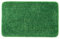 MIULEE Teppich Badematte Badezimmerteppich rutschfest Waschbar Badteppich Bettvorleger Badvorleger Saugfähige Duschvorleger Fussmatte für Wohnzimmer Schlafzimmer Badezimmer 60x90 cm Grasgrün