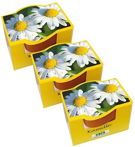 Bull & Bear 3er Set Mini Pflanzset mit Kamille Samen im Topf 4,5cm, Kamillesamen als Anzuchtset mit Pflegeanleitung