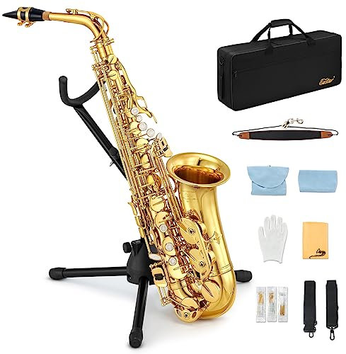 Eastar AS-ⅡStudent Gold Lacquer E Flat Alto Saxophone
