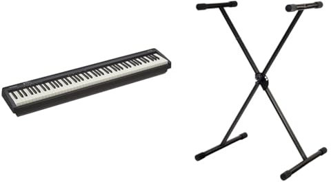 Roland FP-10 — Piano digital de 88 teclas portátil, ideal para tocar en casa y practicar, negro & PURE GEWA GEWA F900520 - Soporte de teclado, patas perfil simple,negro
