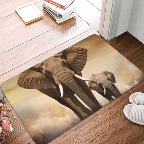 NTVOWPZO Fußmatte für den Innen- und Außenbereich, Allwetter-Fußmatte, Elefanten- und kleiner Elefantendruck, waschbar, rutschfest, Türpolster für den Eingangsbereich, 40,6 x 61 cm