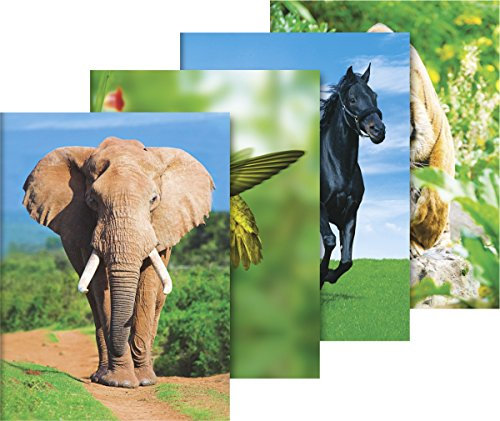 Brunnen 1047093 Sammelmappe (A3, Karton, Tiermotive)